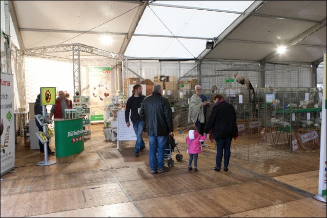 Ausstellung