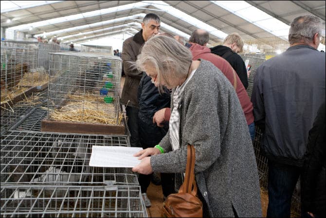 Ausstellung