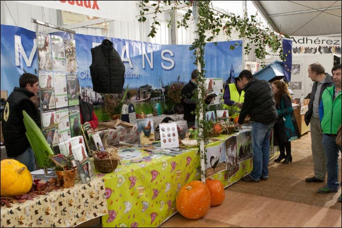 Ausstellung