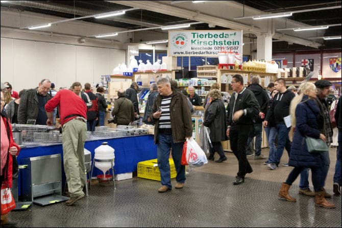 Ausstellung