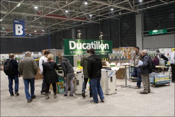 Ausstellung